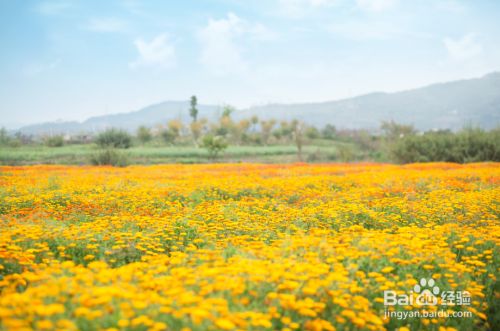 成都蔚然创业项目(创业开超市，加盟蔚然锦和怎么样？)