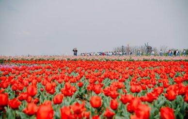 成都蔚然创业项目(创业开超市，加盟蔚然锦和怎么样？)