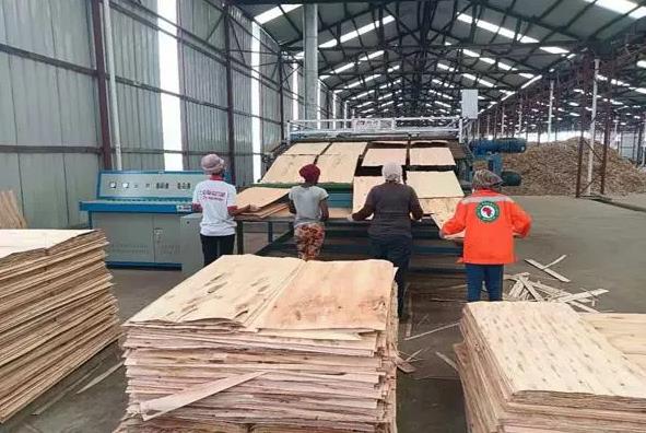 农村创业项目办厂(适合农村开办的10个加工厂项目，农村创业小型加工厂有哪些)