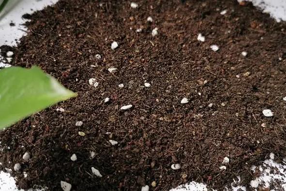 农村创业项目办厂(适合农村开办的10个加工厂项目，农村创业小型加工厂有哪些)