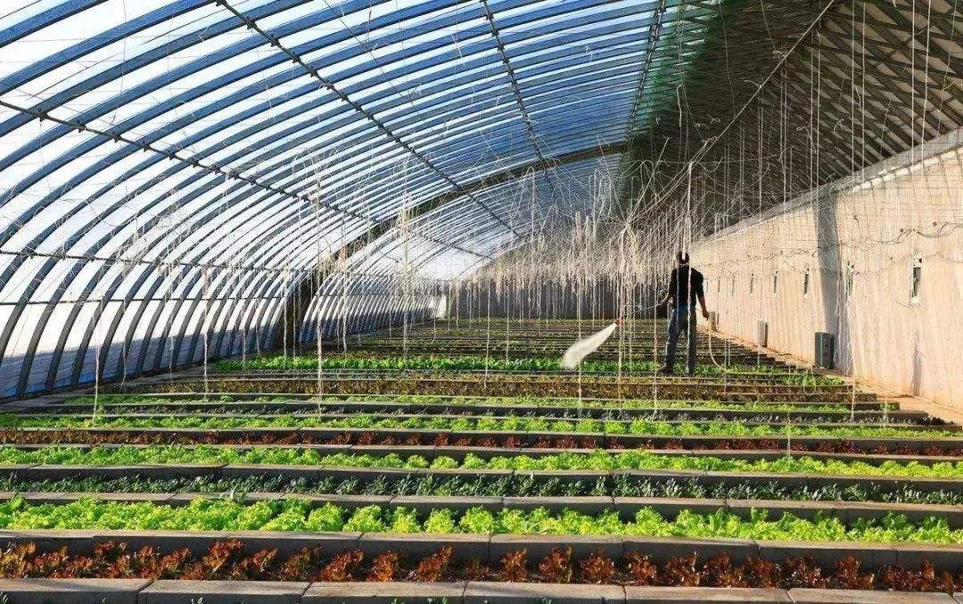 一本万利的创业项目(2022年赚钱的创业项目 2022年创业什么项目好)