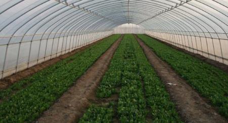 一本万利的创业项目(2022年赚钱的创业项目 2022年创业什么项目好)