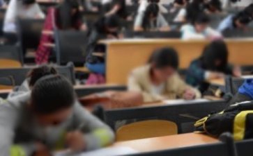 新疆大学生创业项目(新疆农村创业项目)