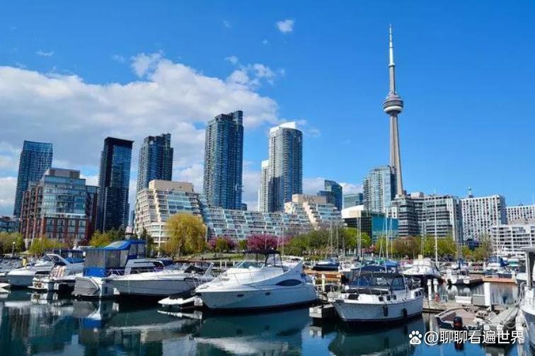 加拿大创业项目(请问新移民去加拿大做一些什么生意好呢？)