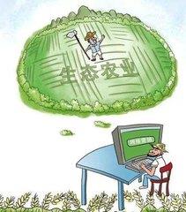 互联网农业创业项目(农村创业项目有哪些)