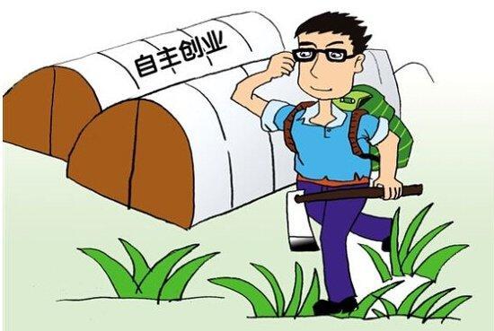 创业项目的流程(简述创业的流程)