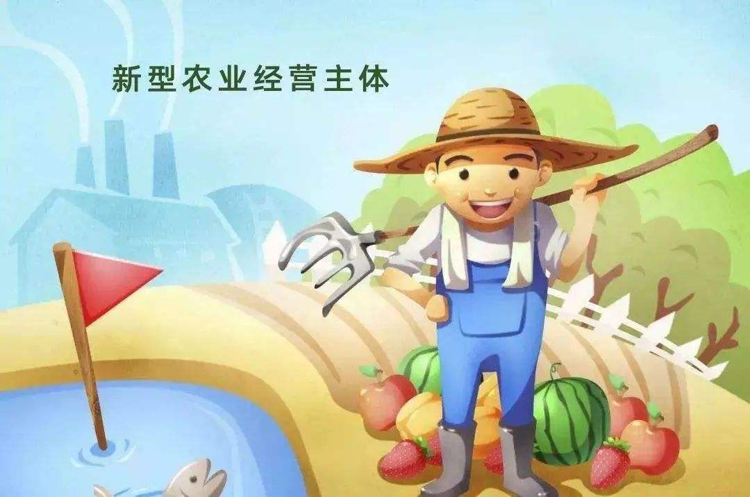 返乡创业项目创新(2021年返乡创业，这12个项目适合农村发展，看看哪些适合你？)