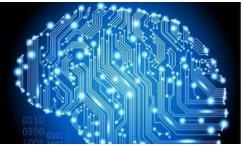 创业项目生物(15个最受欢迎的小本创业项目)