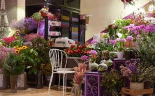 鲜花创业项目(鲜花店创业计划书)