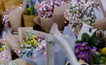 鲜花创业项目(鲜花店创业计划书)