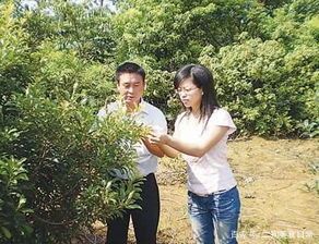 大学生回乡创业项目(回乡创业，做什么最合适？有推荐的吗？)