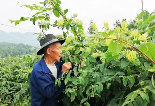 寿光创业项目(农村开什么厂子赚钱)