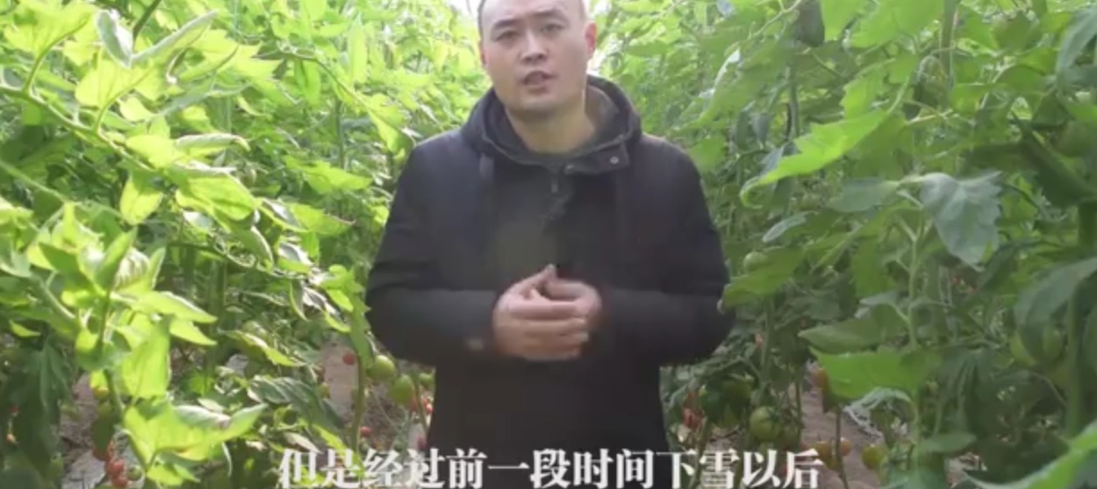 寿光创业项目(农村开什么厂子赚钱)