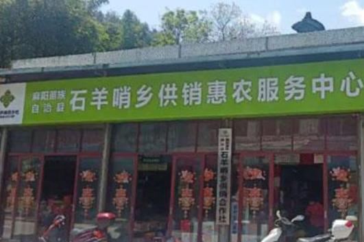 咸鱼的创业项目(闲鱼无货源怎么赚钱操作的？)