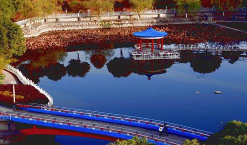 创业项目指导教师(项目指导老师怎么介绍)