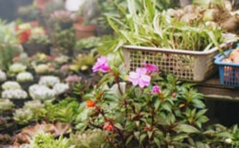 花店创业项目计划书(花店项目策划书)