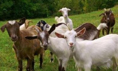 微型创业项目(22个最具潜力的创业方向)