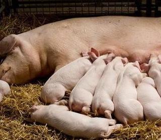 微型创业项目(22个最具潜力的创业方向)