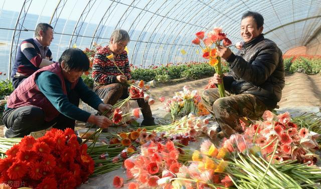 成武政府扶持创业项目(农村创业国家扶持项目有哪些)