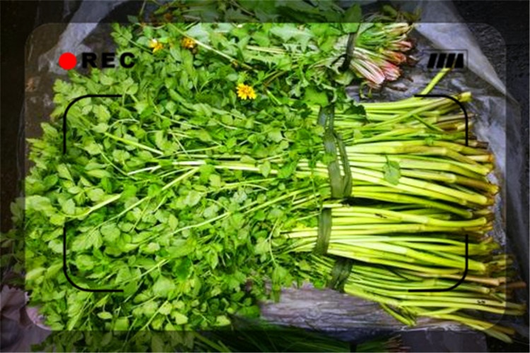 43岁创业项目(中兴侯为贵，43岁白手创业，一手缔造1088亿的中兴传奇)