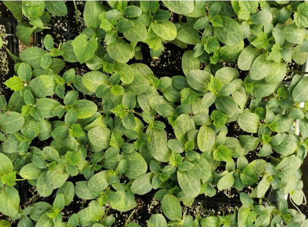 35岁创业项目(适合35岁的女人创业的7个项目)