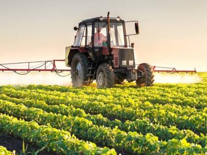 国家扶持的农村创业项目(农村创业政府有哪些补贴项目)