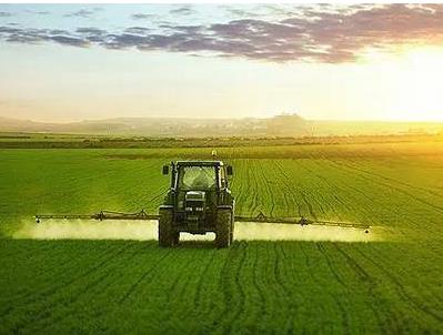 国家扶持的农村创业项目(农村创业政府有哪些补贴项目)