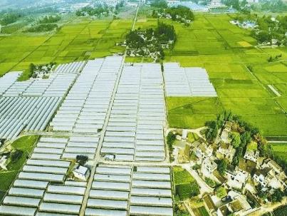 国家扶持的农村创业项目(农村创业政府有哪些补贴项目)