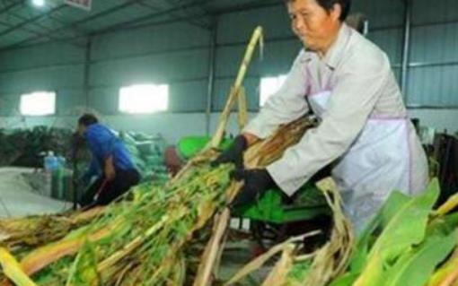 开工厂创业项目(开个不愁销路的小厂，在家开一个什么小工厂赚钱呢？)