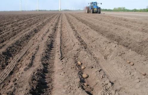 西部农村创业项目(12个适合农村创业的小本项目)