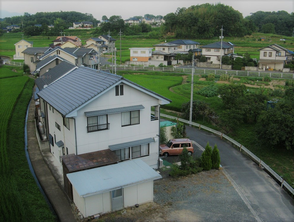 拔掉穷根创业项目(我想在杨凌创业，资金有三万元，不知道作什么好？)