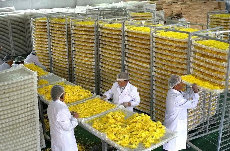 农场创业项目logo(2022年农村创业的好项目推荐 2022农村适合的创业项目)