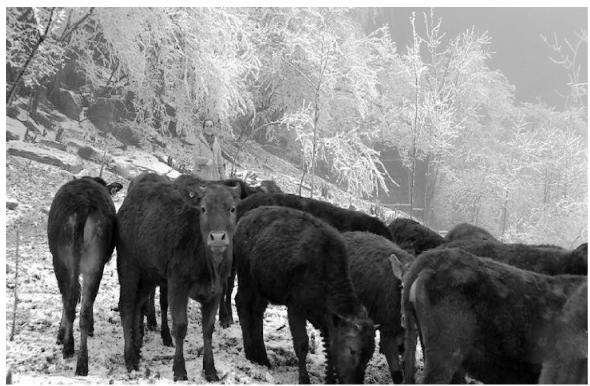 恩施创业项目(在恩施选择什么创业最有前景最赚钱)