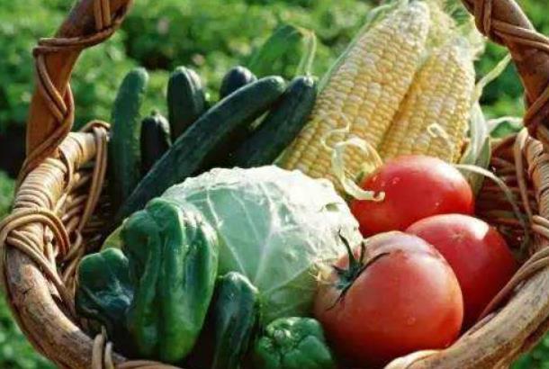 最挣钱的创业项目(自己创业干什么最挣钱)