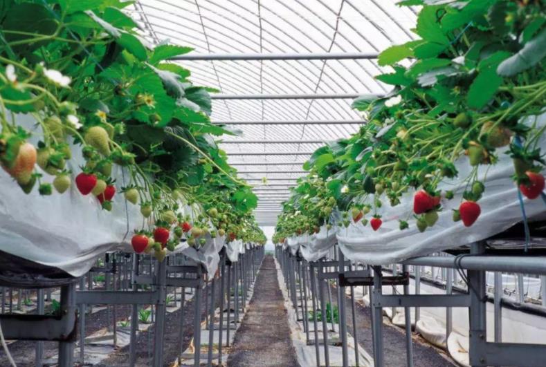 湘南农村创业项目(32个农村小本创业项目)