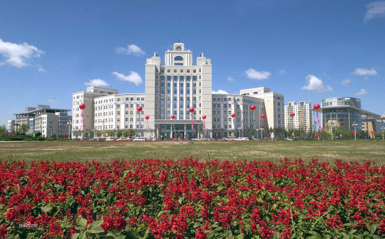 大庆炼化创业项目(大庆高新技术产业开发区的经济发展)