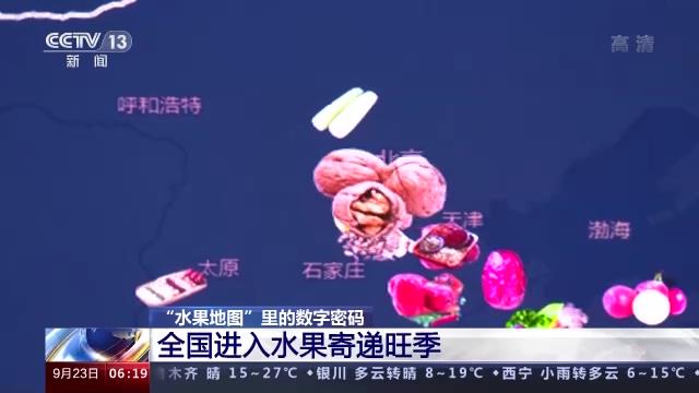 数字密码创业项目(生命数字密码——8号人)