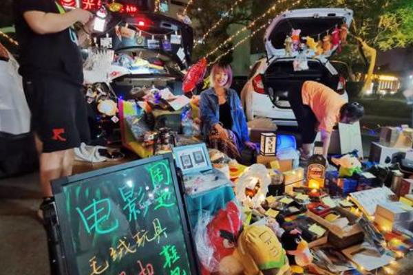 洞察suv创业项目(加拿大SUV项目背景？)