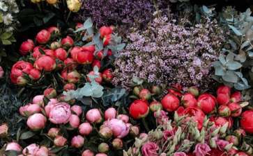 创业项目概括花店(鲜花店创业计划书)