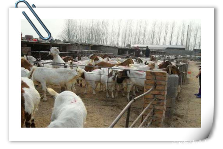 福建创业项目运营(适合穷人的创业项目_不容错过的10个创业项目)