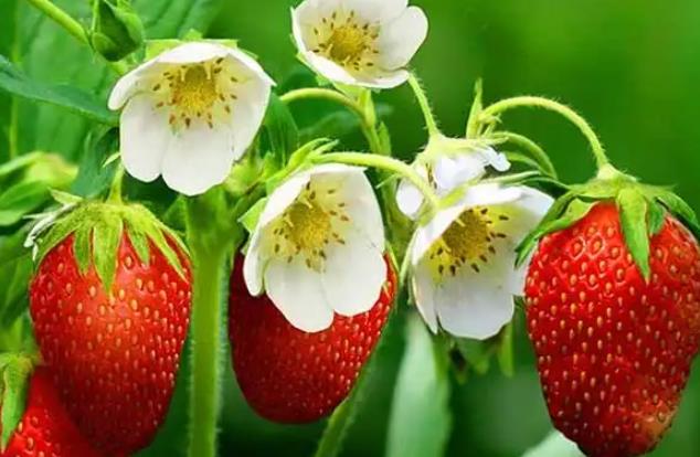 室内创业项目(适合在家创业的好项目有哪些)