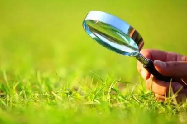 创业项目策划书格式(创业策划书格式)