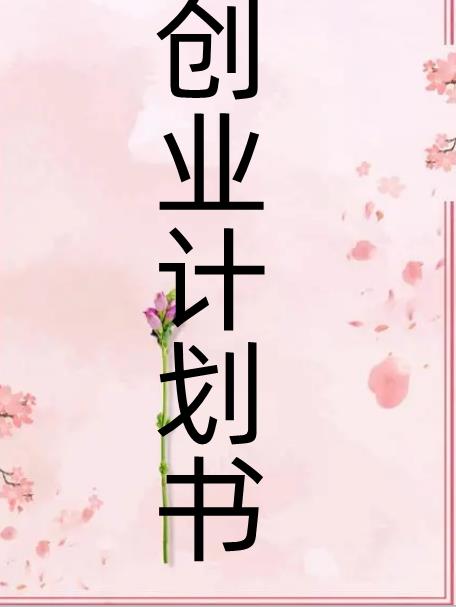 创业项目策划书格式(创业策划书格式)