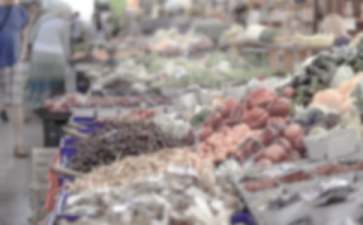 护理创业项目调研(护理的创新创业计划书)