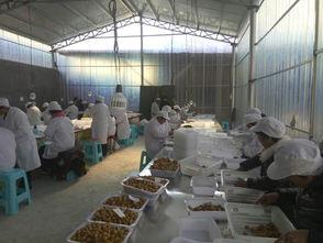 10万以内创业项目(10万元以内的投入，现在选择哪些创业项目，能一年收入20万以上？)