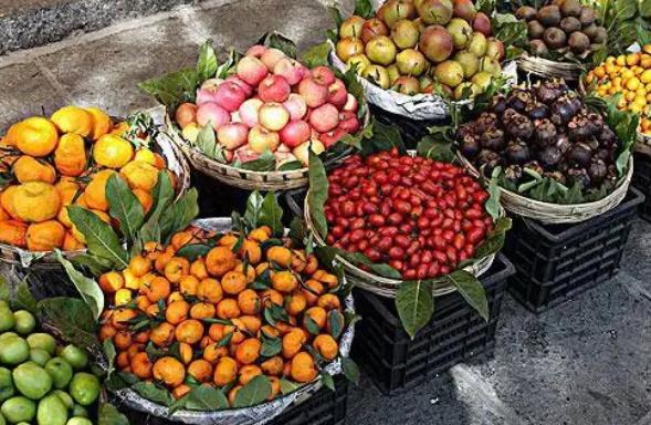 县城创业项目简介(小县城的创业项目有哪些)