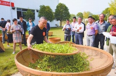 花丝镶嵌创业项目(花丝&amp;镶嵌——细致如发丝的非遗绝技)