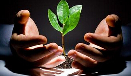 中国创业项目网址(大家创业找项目 都在哪些网站的啊)