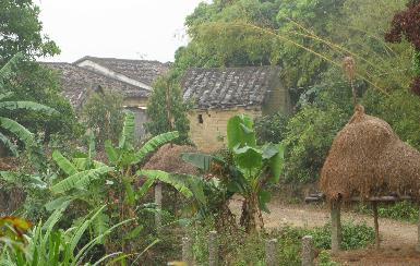 富门路创业项目(在农村如何快速致富？哪些致富门路很有前景呢？)
