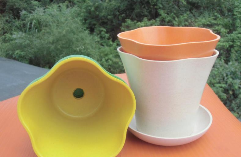 海南籍创业项目(适合海南的创业小项目有哪些？)